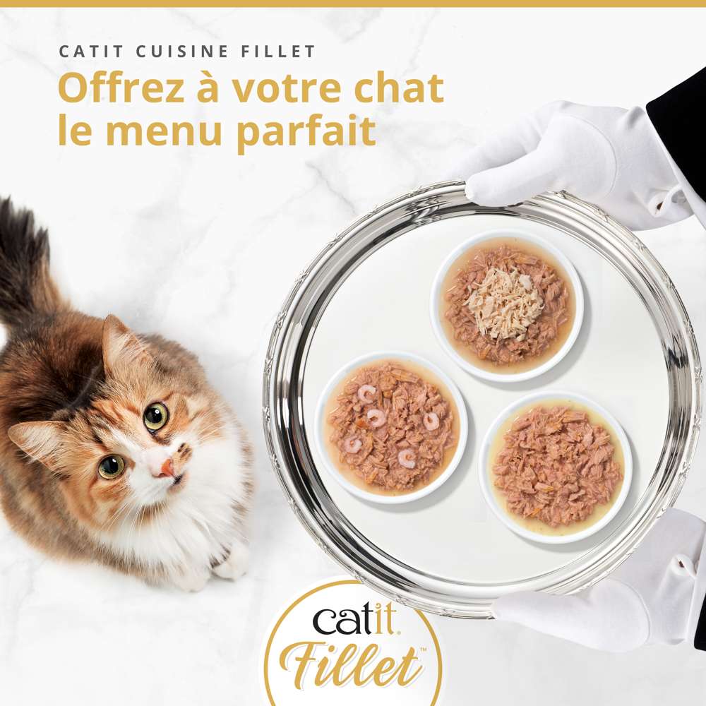 Multipack Filets pour chat - 12 x 75g - Catit Cuisine