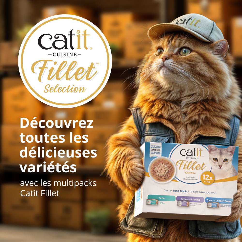 Filet de thon pour chat - 75g - Catit Cuisine