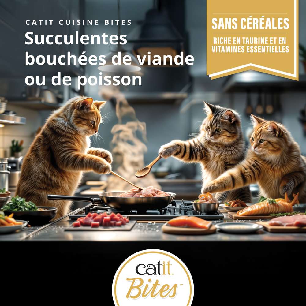 Multipack Bouchées pour chat - 12 x 75g - Catit Cuisine