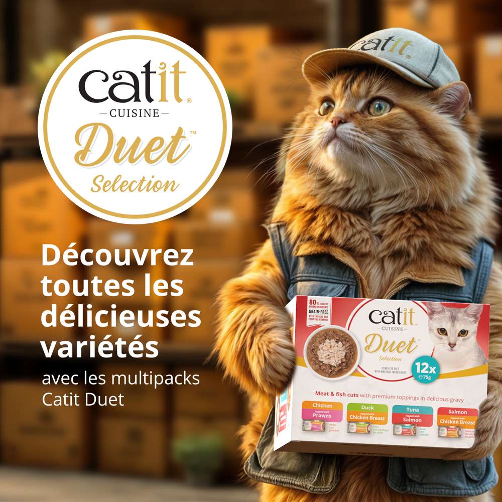 Bouchées avec garniture pour chat - 75g - Catit Cuisine