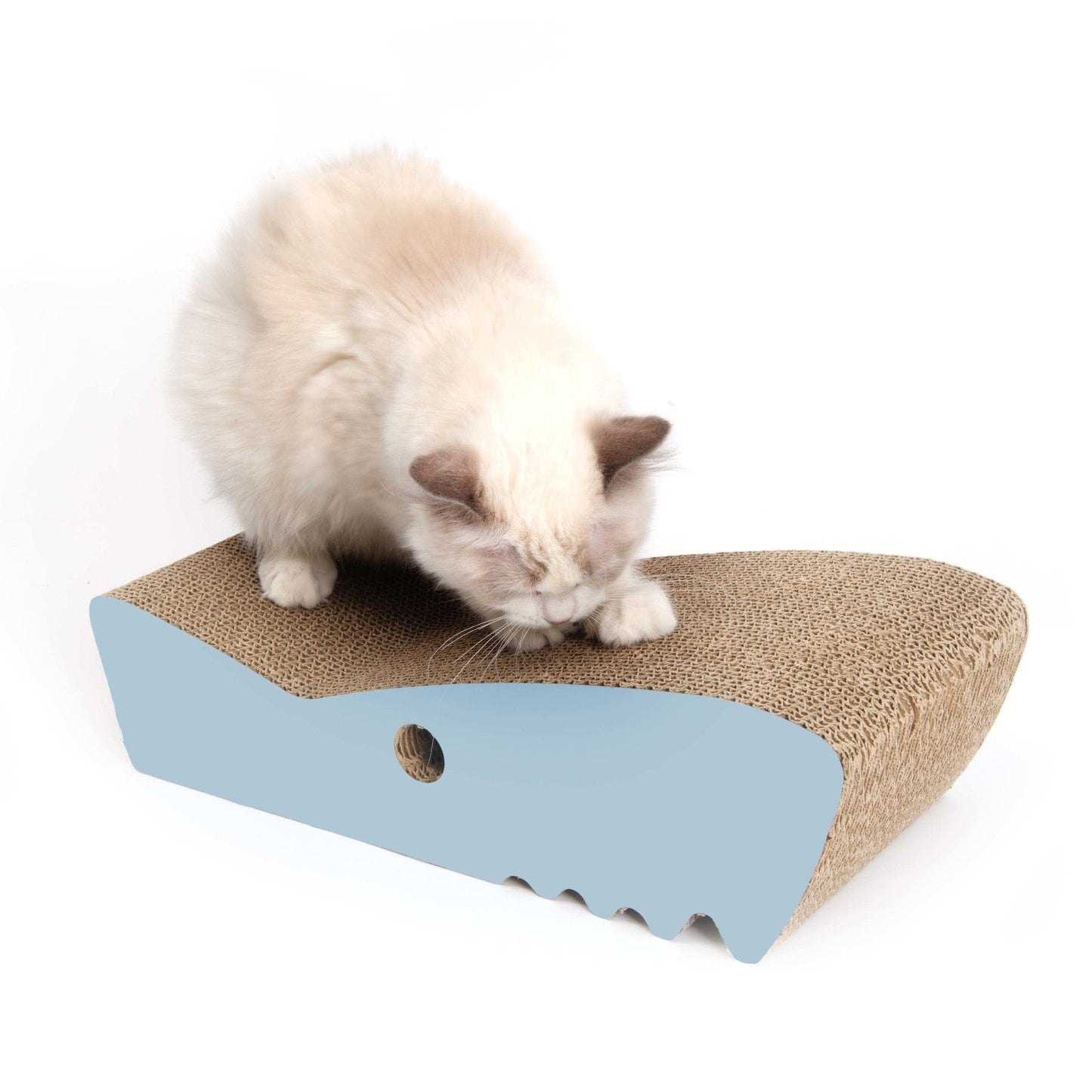 Griffoir pour chat Requin - Catit Zoo