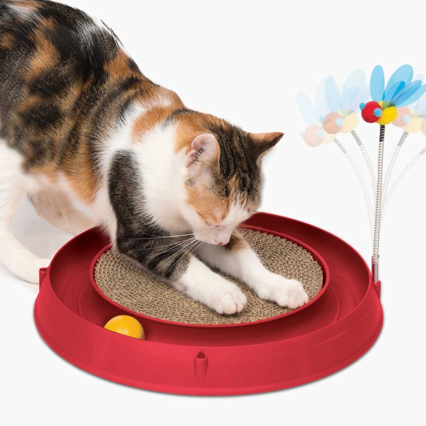 Circuit avec balle et planche à griffer pour chat - Catit