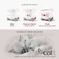 Fontaine à eau pour chat en acier inoxydable - Catit Pixi