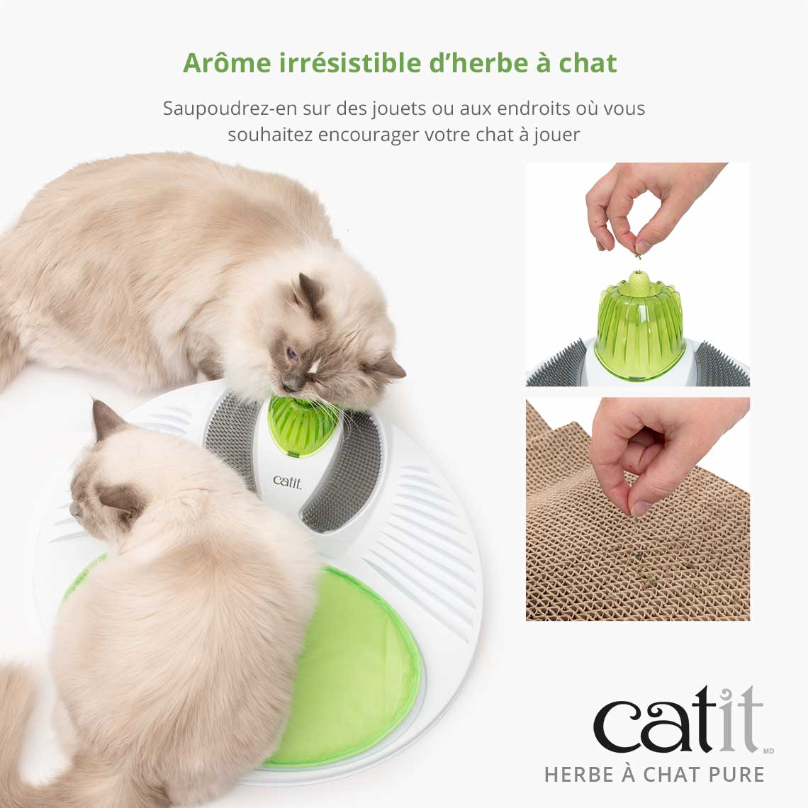 Herbe à chat pure - Catit - 14g