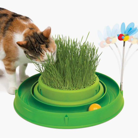 Circuit avec balle et herbe pour chat - Catit