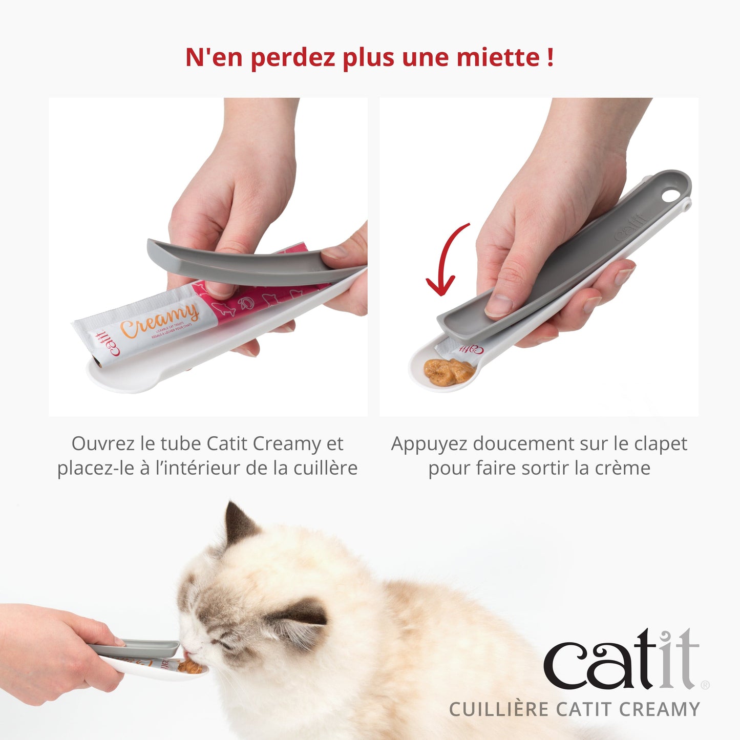 Cuillière Catit Creamy, paquet de 3