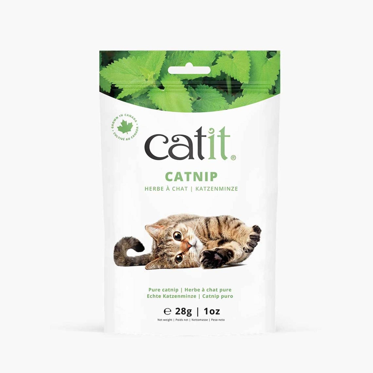 Herbe à chat pure Catit ─ 28g