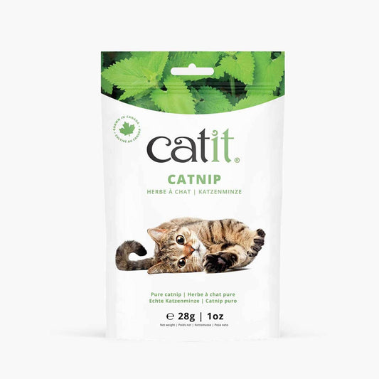 GimCat Herbe à chat en sachet de germes rapides - Catsnack - 2 x