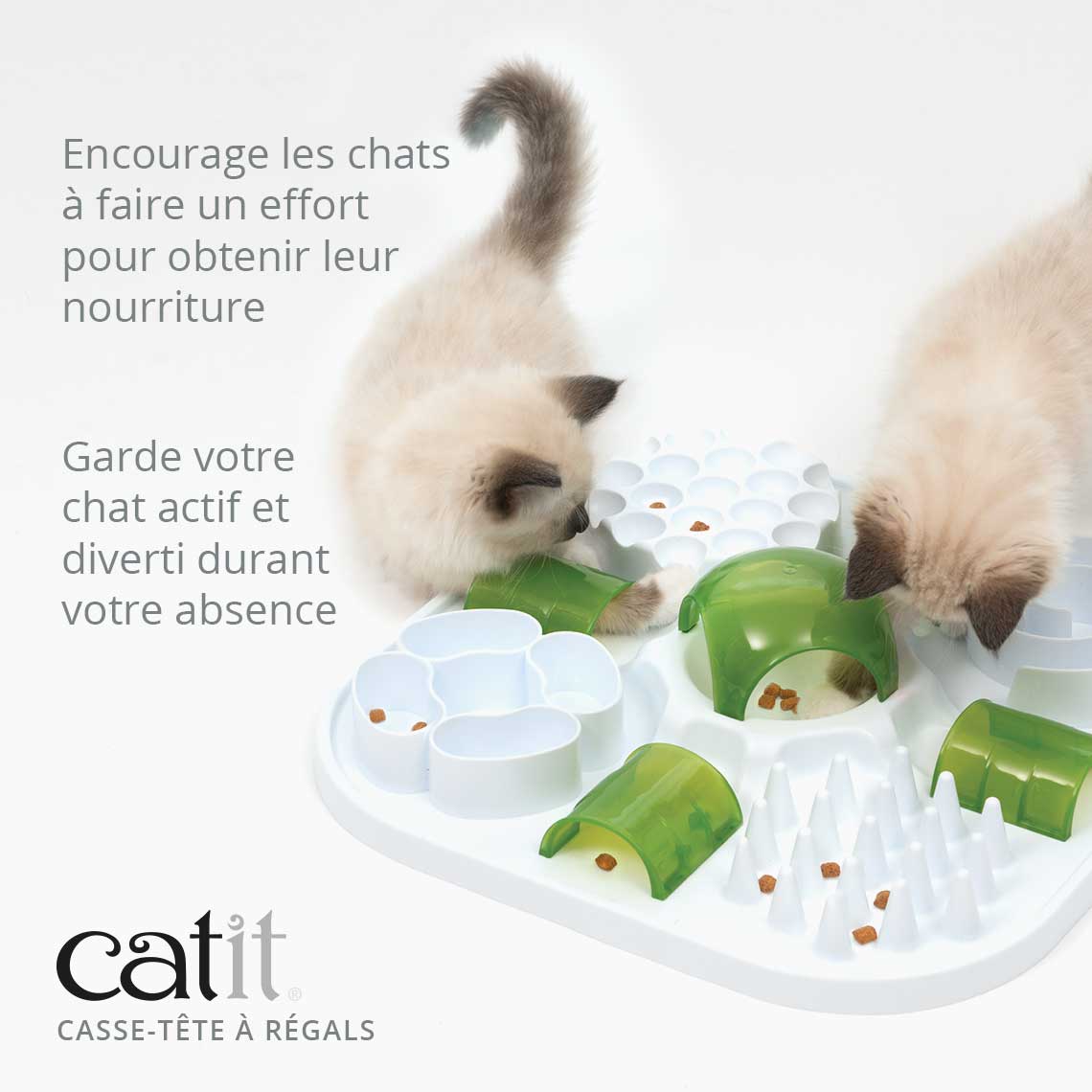 Casse-tête à friandises pour chat - Catit Play