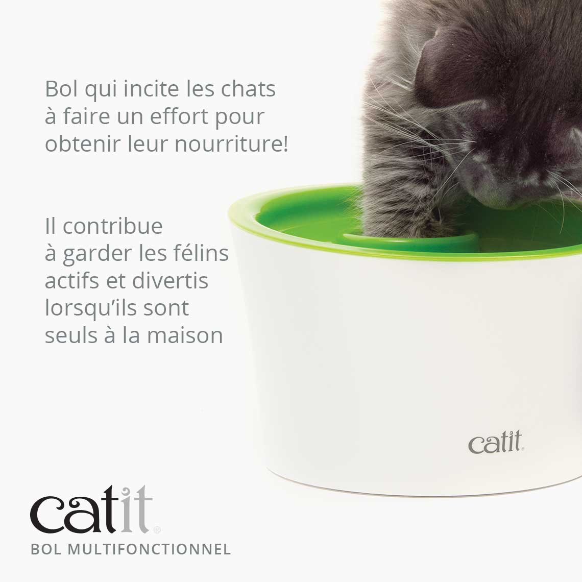 Gamelle multifonction pour chat - Catit