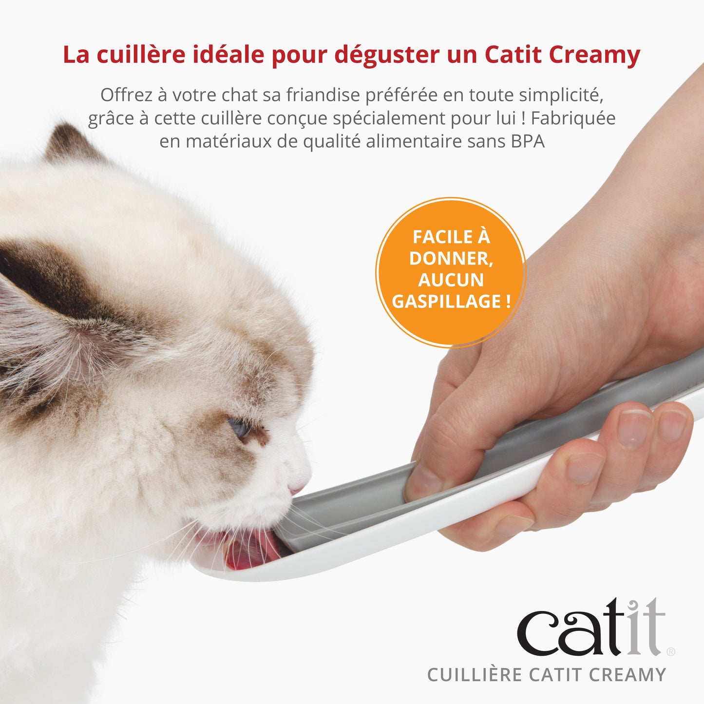 Cuillière Catit Creamy, paquet de 3