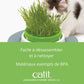 Jardinière d'herbe pour chat - Catit Senses