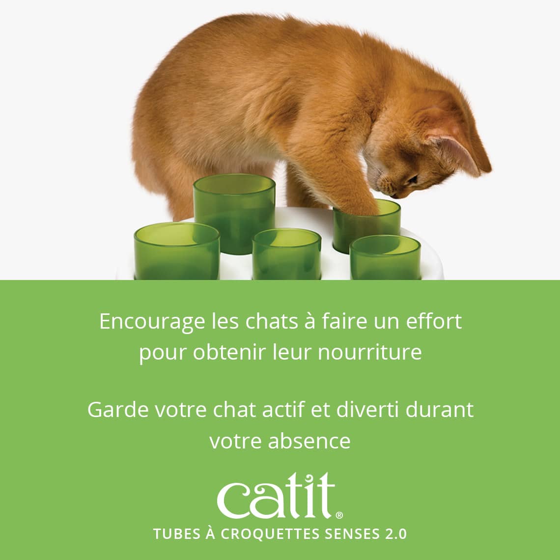 Tubes à croquettes pour chat - Catit Senses