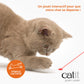 Jouet laser pour chat - Catit