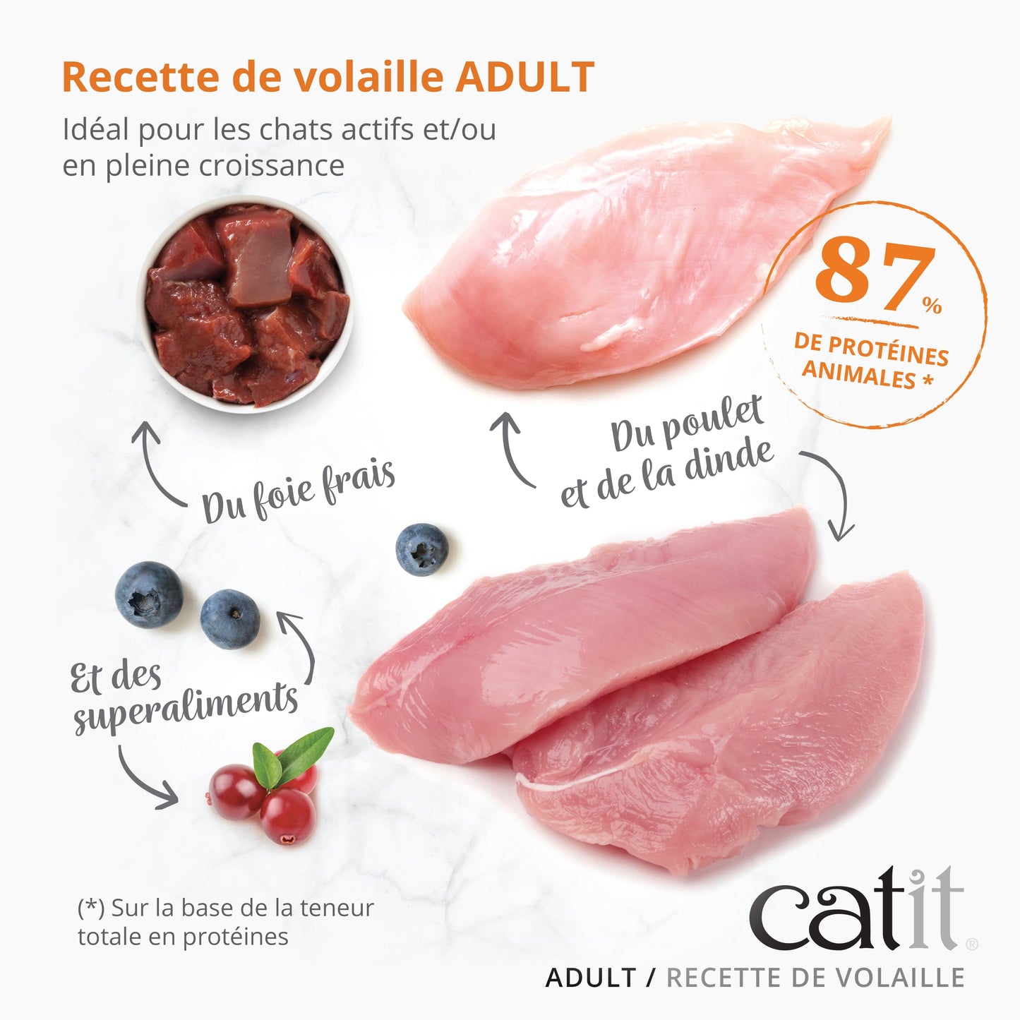 Croquettes chat adulte Volaille - Catit Recipes - 2 kg