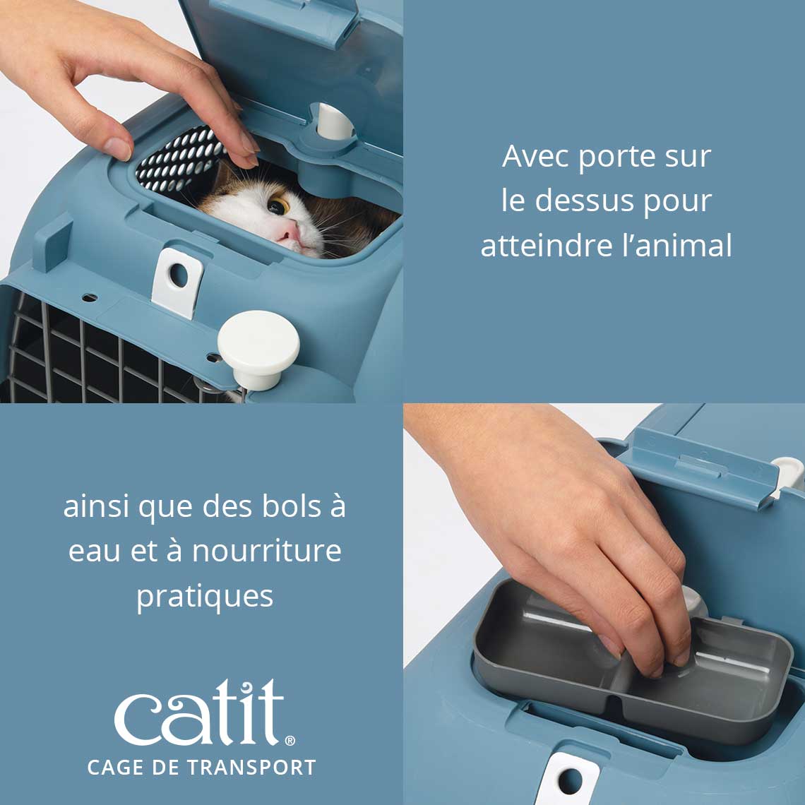 Caisse de transport pour chat - Catit - Moyen, Turquoise