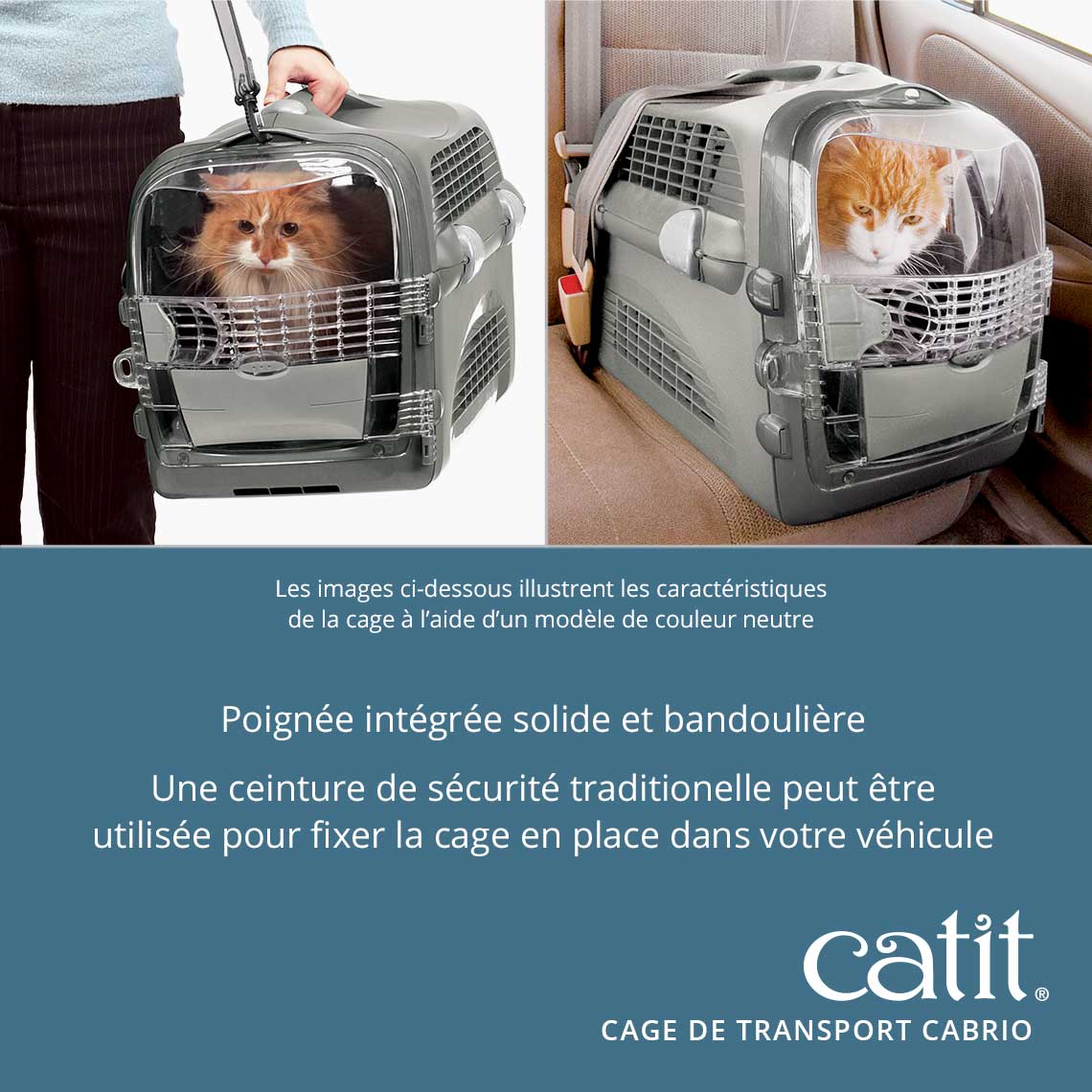 Caisse de transport pour chat Cabrio - Catit - Turquoise