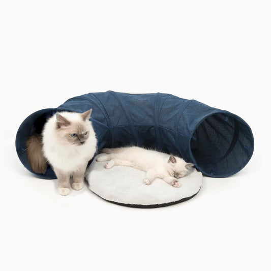 Tunnel en tissu pour chat - Catit Vesper - Bleu